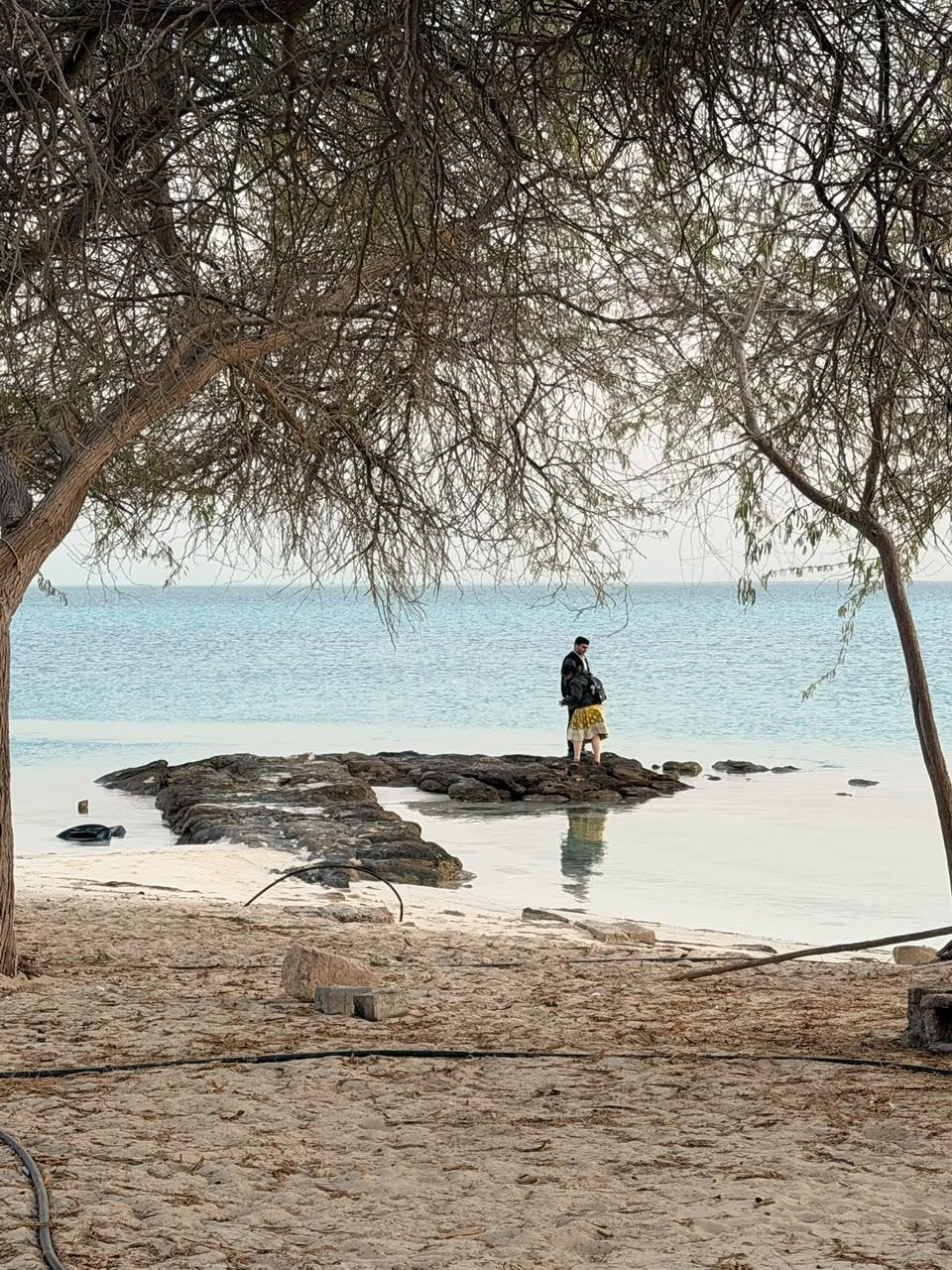 Visitor standing on a rocky outcrop in the shallow turquoise water of an Abu Dhabi island, framed by overhanging trees