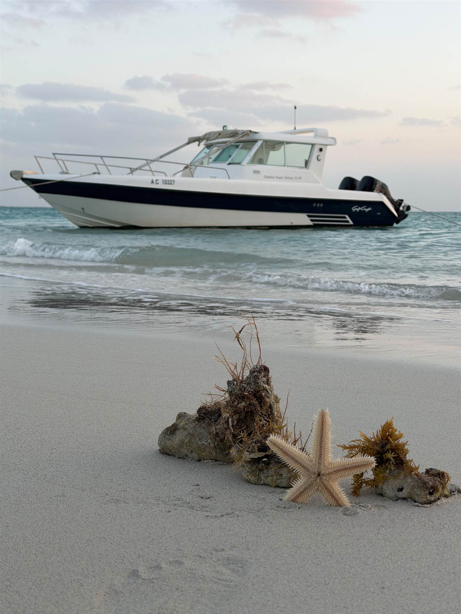 Private charter boat anchored off an Abu Dhabi beach